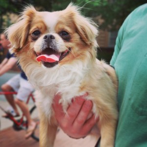 2011-04-30 15.44.31-1