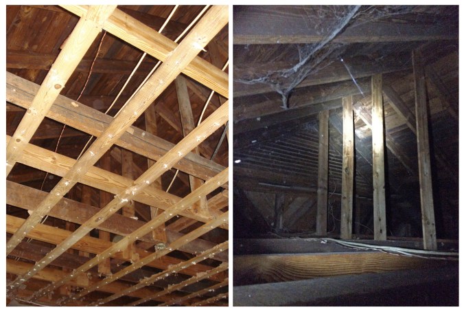 Attic gold! Matthew found a beautiful vaulted ceiling after removing the old, yucky acoustic tiles in the family room. Jackpot!