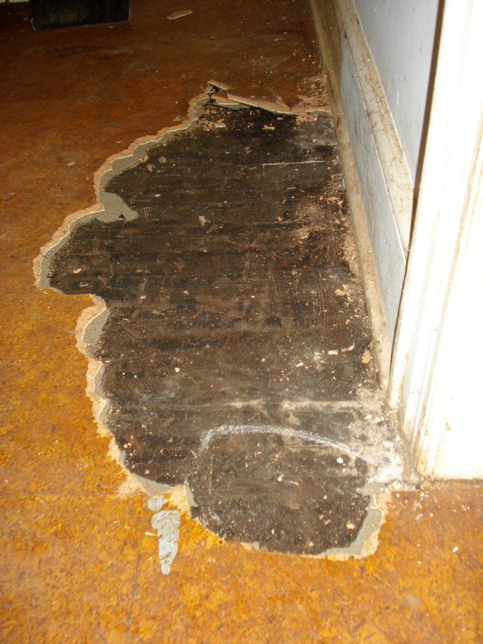 Our test patch strikes wood! 