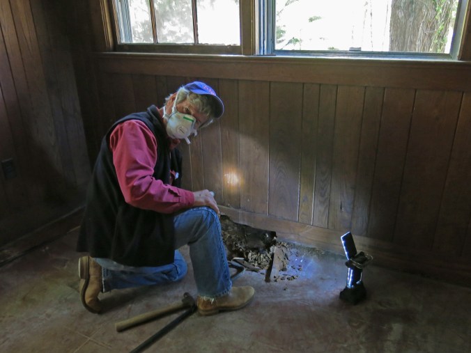 My dad, the forester, came to help with a special wood project. ;)