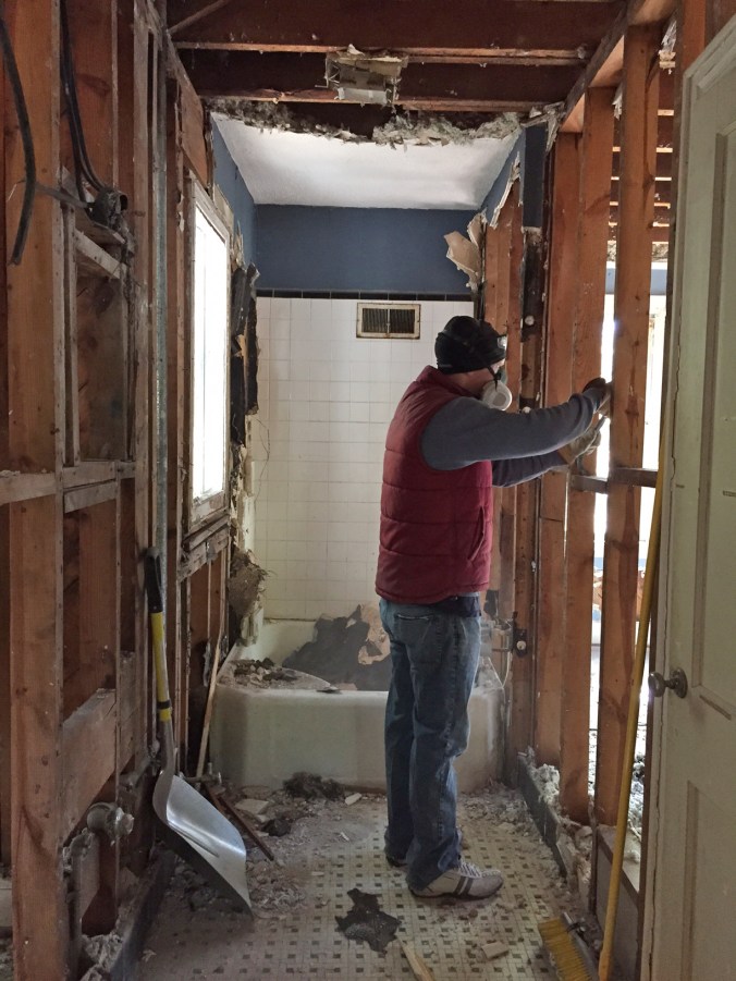 If we're not chipping away at plaster remnants, we are pulling nails out of the studs. Details, details, details.