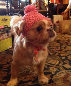 Side Note: Matthew hates to be hot, so he keeps the 'stat set pretty low year-round. So low that Miss Pepper sometimes has to wear her winter hat to keep warm!