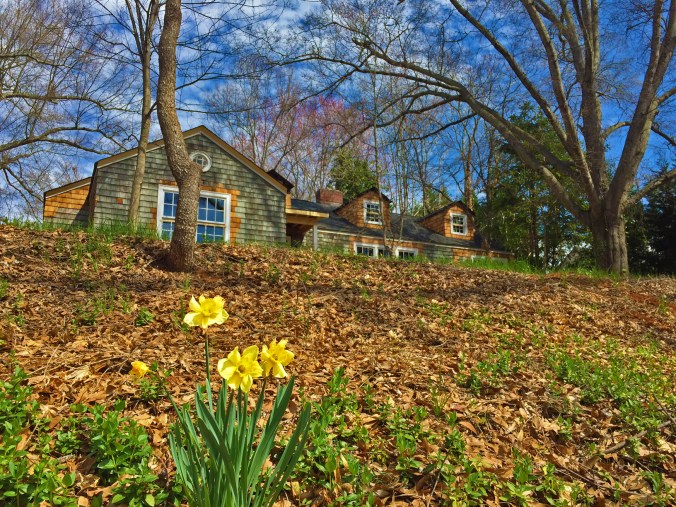 The Newton Nest_SPRING_IMG_7749 copy