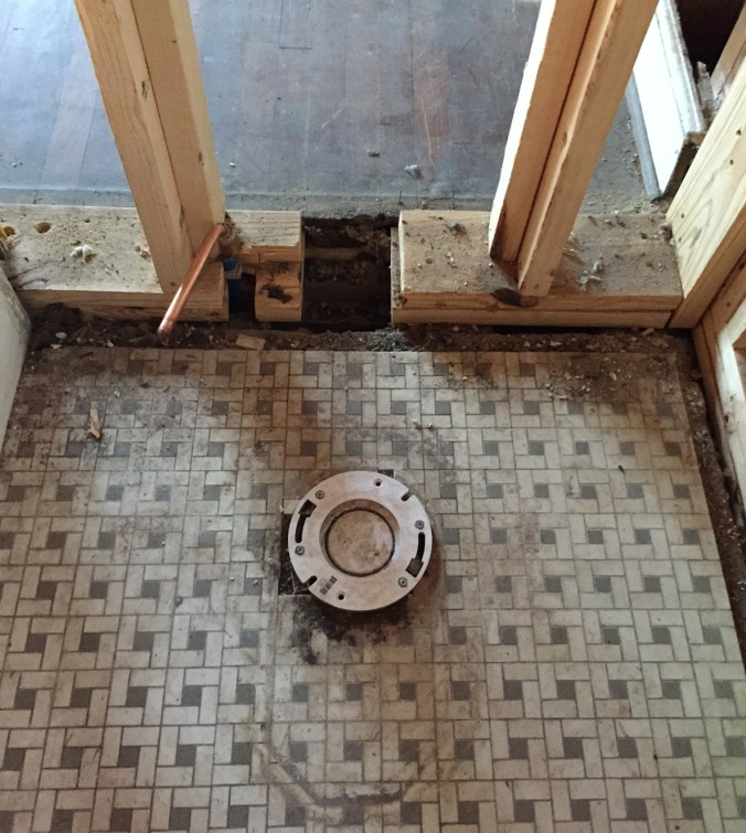 Hello, new toilet hole!