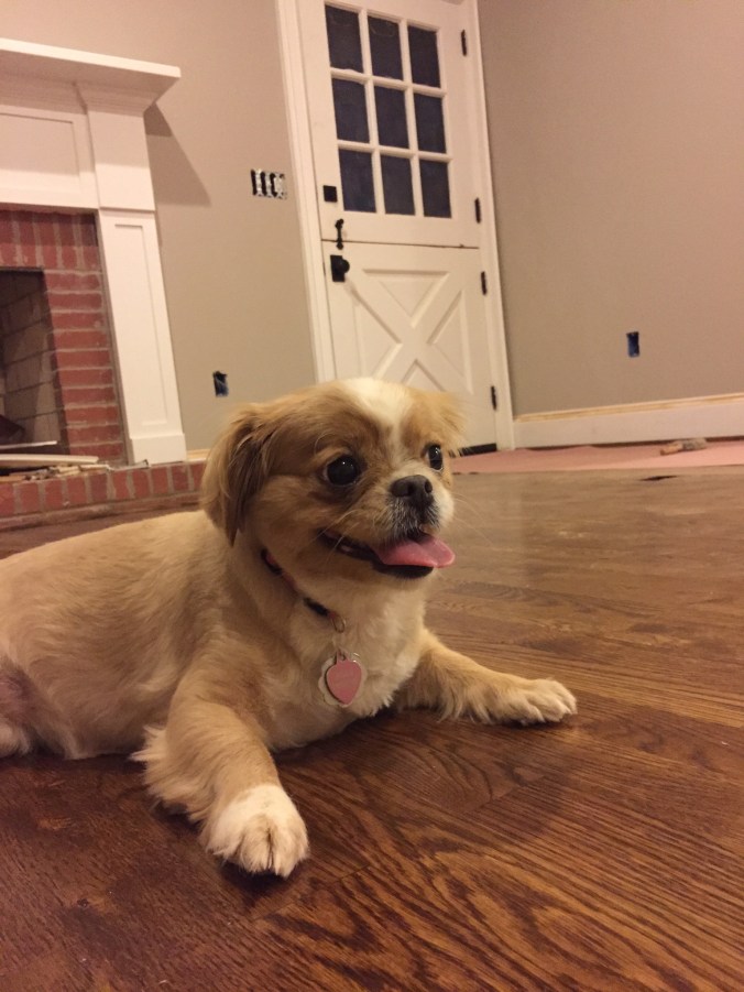 Miss Pepper says, "When can we move in??"