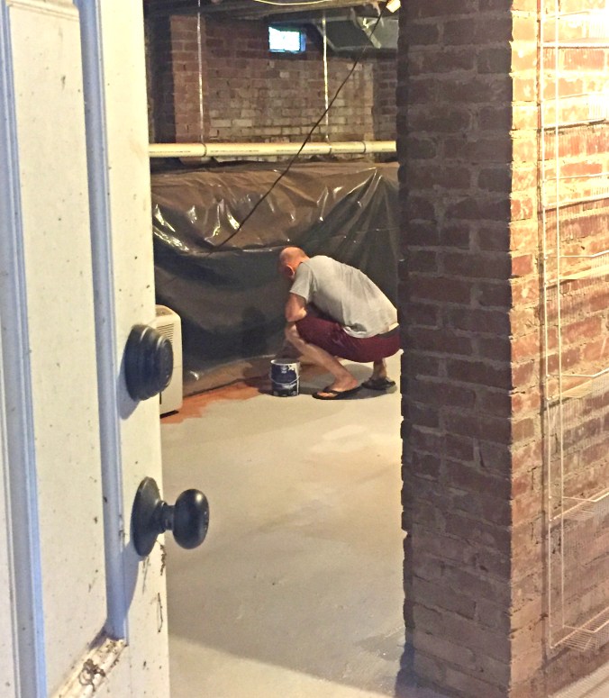 The Newton Nest_Basement Clean Up_IMG_2523