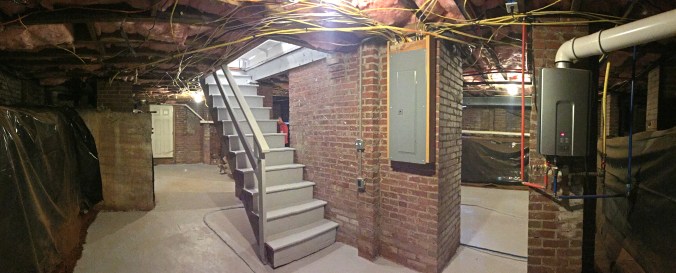 The Newton Nest_Basement Clean Up_IMG_2531